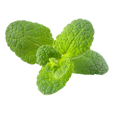 Click &amp; Grow Apple Mint 3 Pods