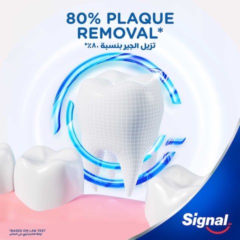 Signal 4D Medium  Toothbrush   Interdental   2 Per Pack