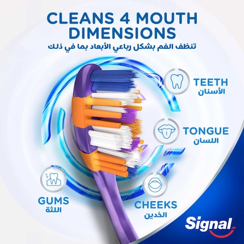 Signal 4D Medium  Toothbrush   Interdental   2 Per Pack