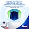 Signal 4D Medium  Toothbrush   Clean  2 Per Pack