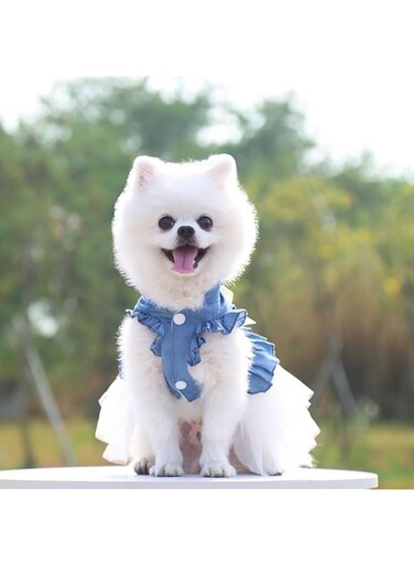 Puppy Dresses for Small Dogs, Female Summer Dog Clothes, Yorkie Dresses, Bowknot Princess Denim Dress for Dogs, Dog Tutus Skirts, Doggie Pet Outfit, Cat Clothing (White, XL)