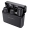 Cellairis Wireless Lavelier Dual Microphone with Caharging Case, Black