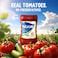 Noor Pickle Tomato Ketchup, 410g