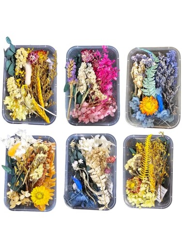 Real Dried Flower, Dry Plants For Aromatherapy, DIY Candle Epoxy Resin, Pendant, Necklace, Jewelry Making Craft, DIY Accessories Natural Dried Flowers, Mixed, Home Decoration (6 tubs) (Set A)