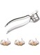ESSENTIALS Essentials Professional Kitchen Garlic Press