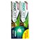 AloeDent Aloe Vera Triple Action Miswak Toothpaste 100ml Pack of 2