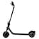 Segway Ninebot E2 II LED KickScooter Black