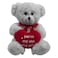 دب العناق  مع القلب TP0665A 24 سم