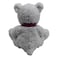 Cuddles Bear with Heart TP0605B 30cm