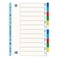 Elba Neutral Dividers Assorted A4 12 Tabs
