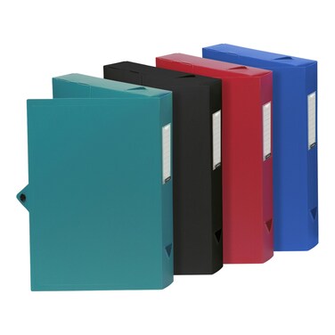 فيكويل كلاس صندوق ملفات المستندات بعمود فقري مقاس 40 ملم - متعدد الألوان