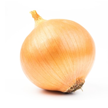 Onion Yellow Import