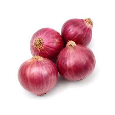 Onion Red Import