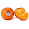 Kaki Persimmon Premium