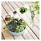Luminarc Salad Bowl Paradise Blue 22cm