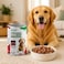 Delight Chunks with Beef Adult Dogs Food Can 415g