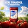 Noor Tomato Ketchup, Made from 5 Natural Ingredients, 410g Pack of 2
