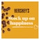 Hershey's Milk Chocolate Chips 285g Pack of 2