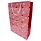 Printed Paper Gift Bag Large