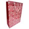 Printed Paper Gift Bag Large