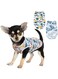 Becailyer 2 Pack Dog Shirt - Dog Hawaii Shirts - Flamingo Pet Vest - Dog Summer Shirt Puppy Clothes,Soft &amp; Breathable Mesh Puppy Shirt Beach Seaside Puppy Shirt Sweatshirt for Small Dogs Cats,S