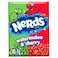 Nerds Watermelon and Wild Cherry Flavour Candy, 46.7g
