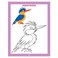Dreamland Copy Colour Book Birds