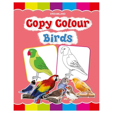 Dreamland Copy Colour Book Birds