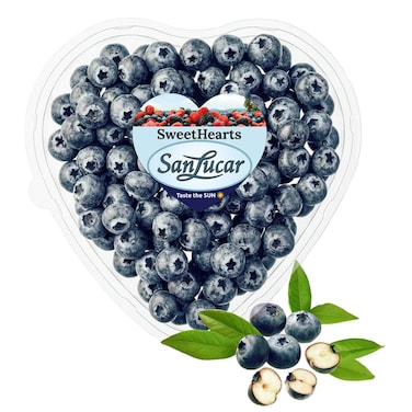 سانلوكار توت أزرق 300 غرام