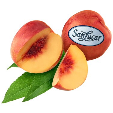 Sanlucar Nectarine