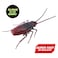 Zuru Robo Alive Series 2 Crawling Cockroach