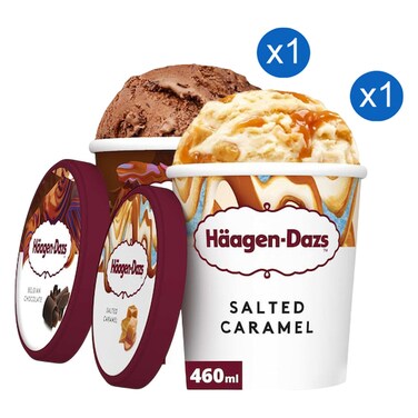 Haagen-Dazs Belgian Chocolate Ice Cream Tub and Salted Caramel Ice Cream Tub 460ml Pack of 2