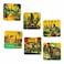 Ajooba UAE Golden Coaster, 6 PCS