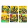 Ajooba UAE Golden Coaster, 6 PCS
