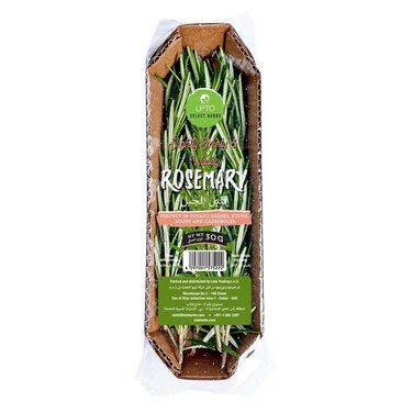 Leto Rosemary 30g