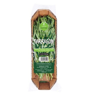Leto Tarragon 30g