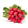 Red Radish Shaker 250g