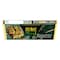 Kuche Dubai Chocolate Pistachio Kunafa Milk Chocolate, 30g