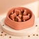 Delight Slow Feeder PP and TPR Pet Bowl, 20.5x5cm