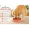 Delight Slow Feeder PP and TPR Pet Bowl, 20.5x5cm