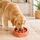 Delight Slow Feeder PP and TPR Pet Bowl, 20.5x5cm