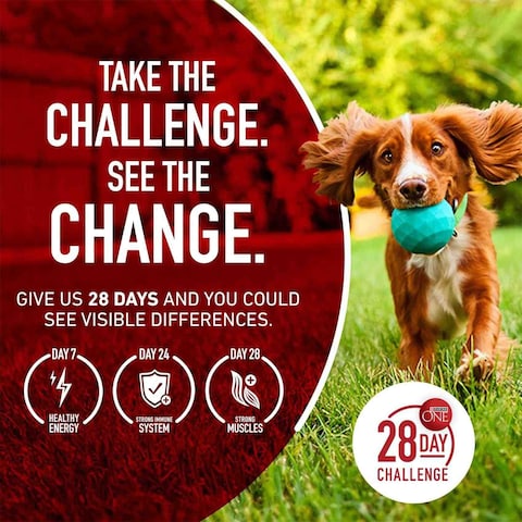 Purina ONE Chicken &amp; Rice Formula, Dog Food, 3.63kg