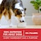 Purina ONE Chicken &amp; Rice Formula, Dog Food, 3.63kg