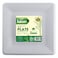 Falcon, 10 Pcs Biodegradable Square Plate, 10inch