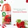 Air Wick Automatic Air Freshener Spray Refill, Rose Scent, 250ml Pack of 3