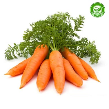 Organic Carrot With Leaves
