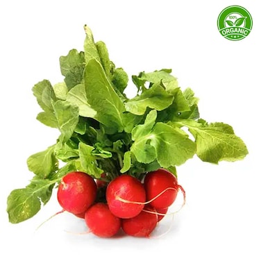 Organic Red Radish