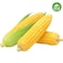 Organic Sweet Corn