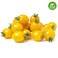 Organic Tomato Cherry Yellow