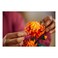 Lego Icons Chrysanthemum Building Toy 10368